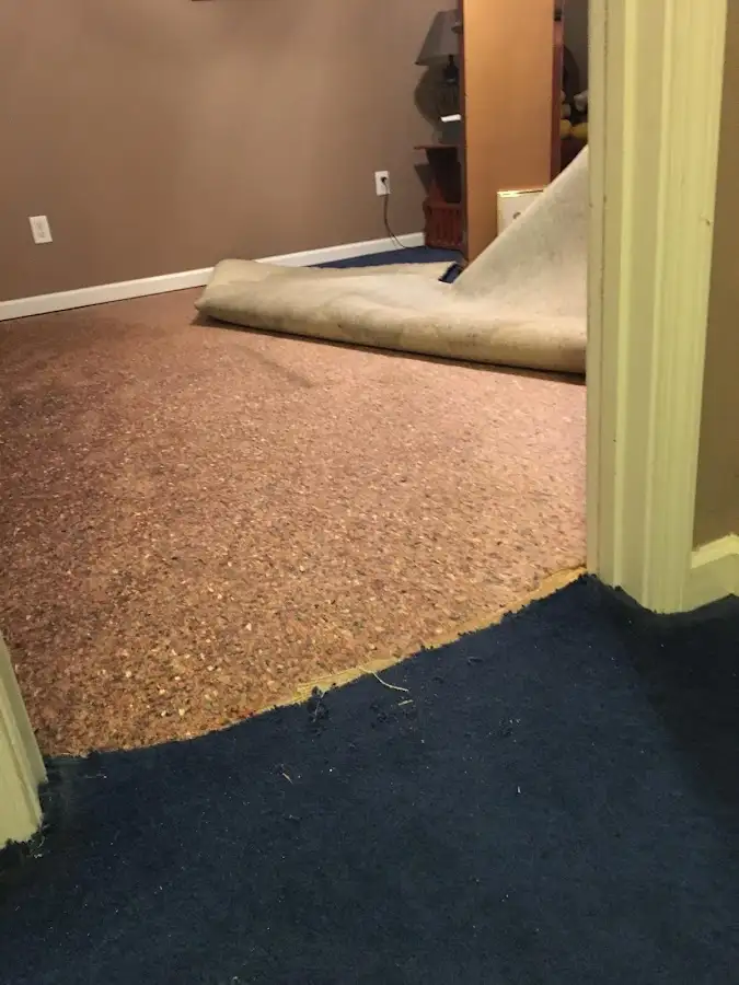 Carpet pad removal revealing water damage during Drying & Dehumidification in Indian Hills