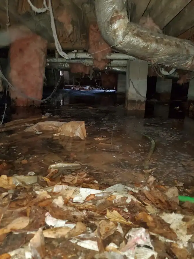 Crawl space flood assessment for Leak Detection & Repair in Indian Hills